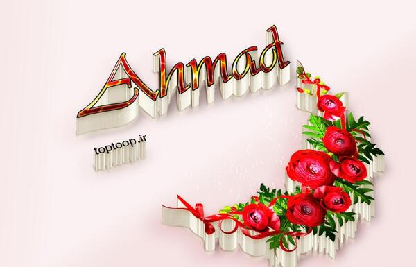 عکس نوشته اسم حمیده انگلیسی