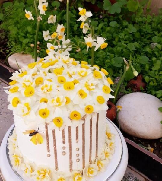عکس گل نرگس روی کیک