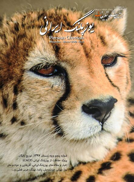 عکس نوشته یوزپلنگ