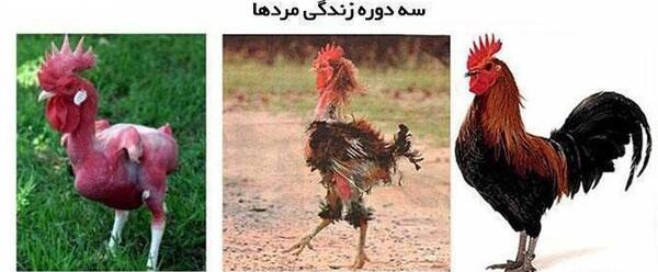 عکس طنز طلاق