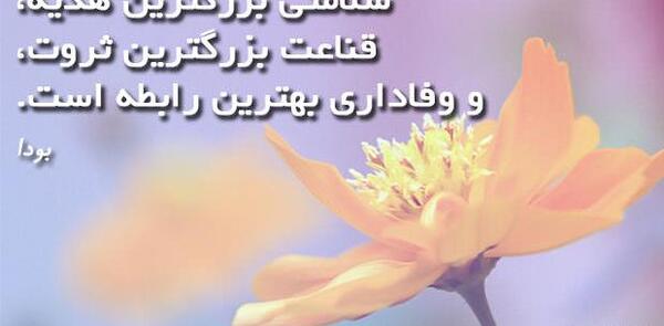 عکس بهترین ثروت