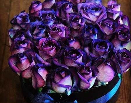 عکس دسته گل های زیبای جهان