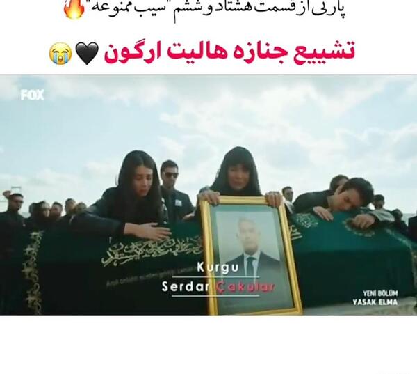 عکس مرگ هالیت