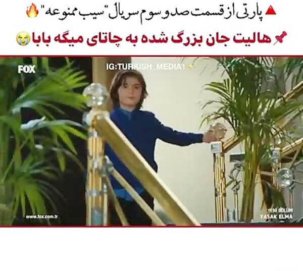 عکس مرگ هالیت