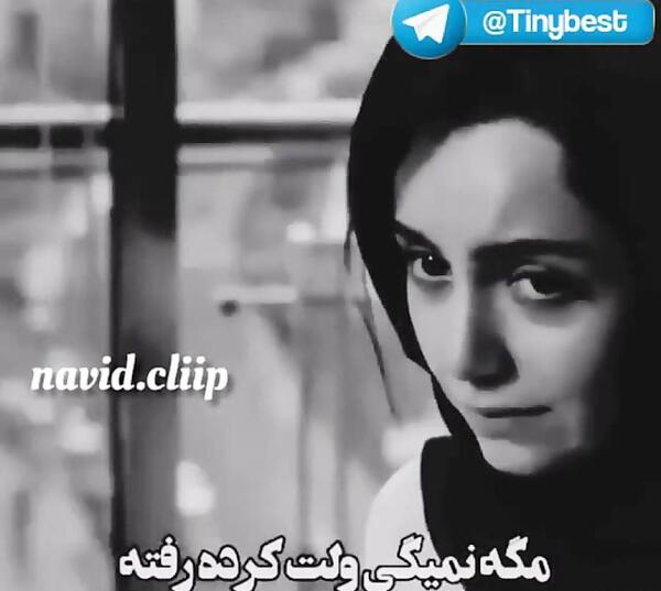 عکس های عاشقانه امیرحسین آرمان و نازنین بیاتی