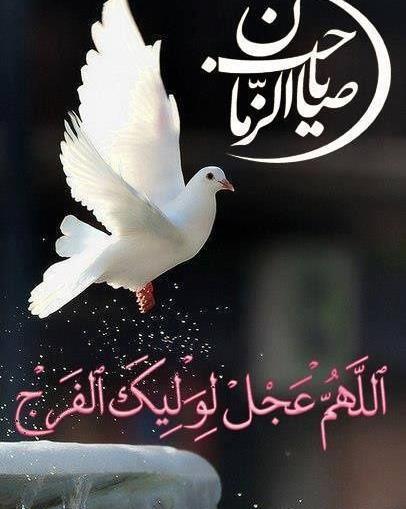 عکس نوشته ابا صالح التماس دعا