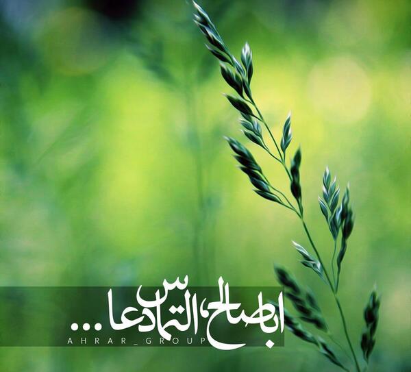 عکس نوشته ابا صالح التماس دعا
