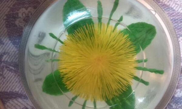 عکس گل ژله تزریقی
