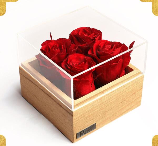 عکس گل رز خاص
