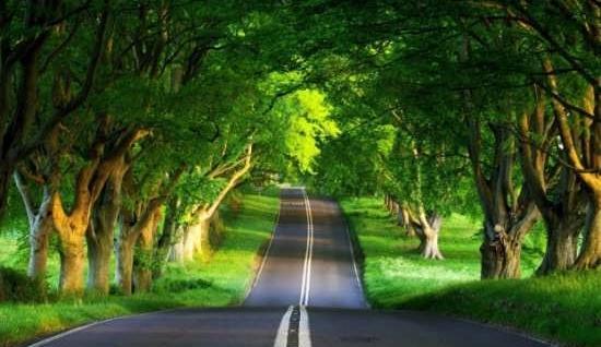 عکس زیبا طبیعت برای تصویر زمینه