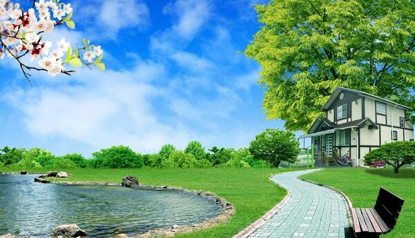 عکس زیبا طبیعت برای تصویر زمینه