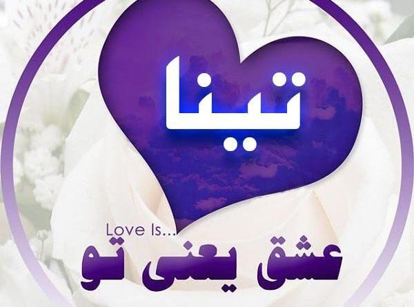 عکس گل تینا
