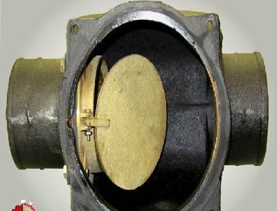 عکس شیر یک طرفه