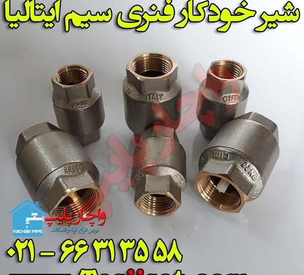 عکس شیر یک طرفه