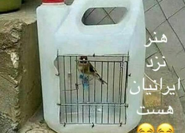 عکس خنده دار و مسخره