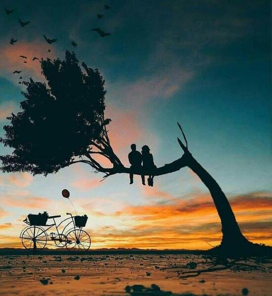 عکس پروفایل عاشقانه هنری