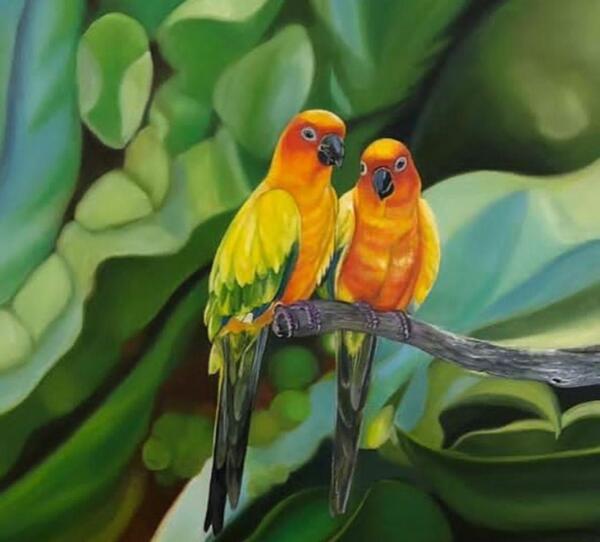 عکس طوطی نقاشی