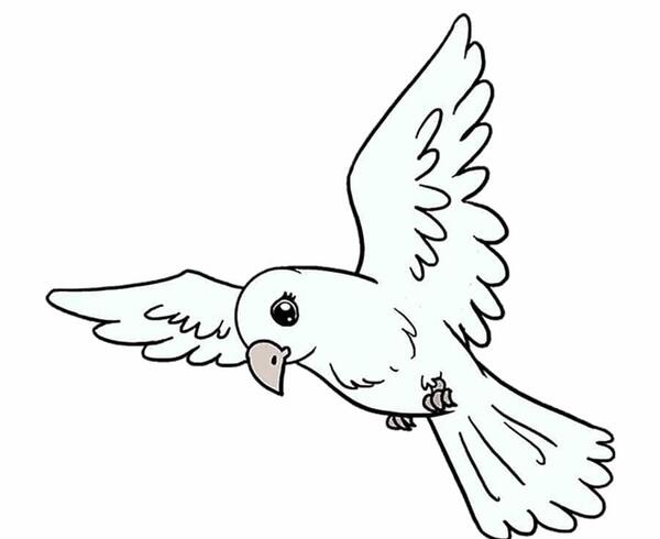 عکس طوطی نقاشی