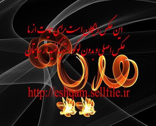 عکس پروفایل نوشته هدیه