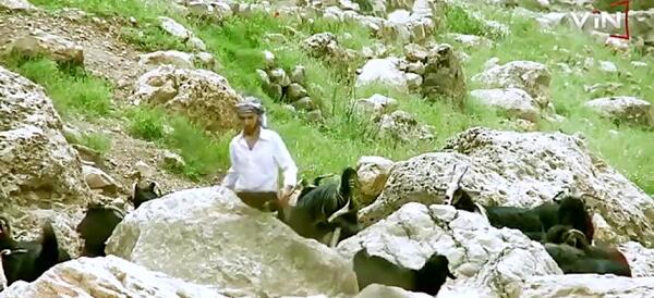 عکس گوران صالح وبرواس