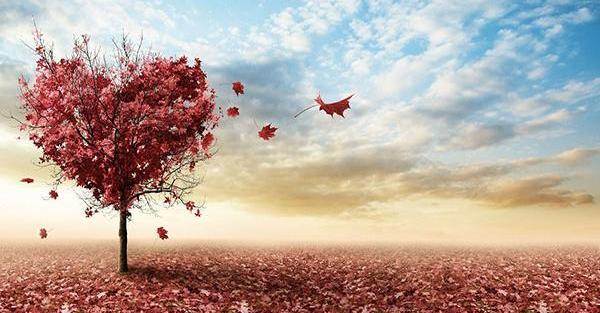 عکس طبیعت عشقی