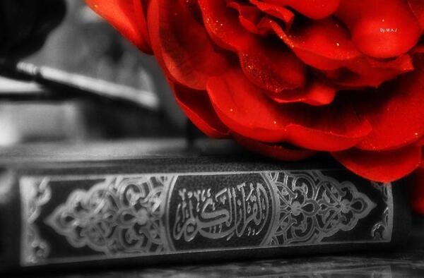 عکس قرآن و گل