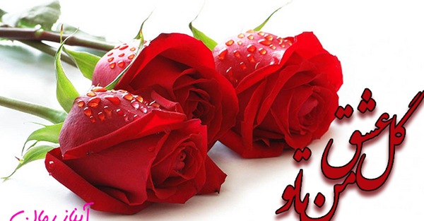 عکس ساناز و آرشام در رمان باغ عشق