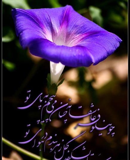 عکس نوشته به چشمای تو سوگند