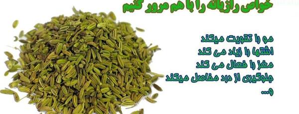 عکس هایی از رازیانه