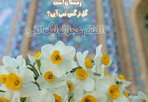عکس نوشته سلام بر گل نرگس