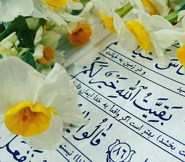 عکس نوشته سلام بر گل نرگس
