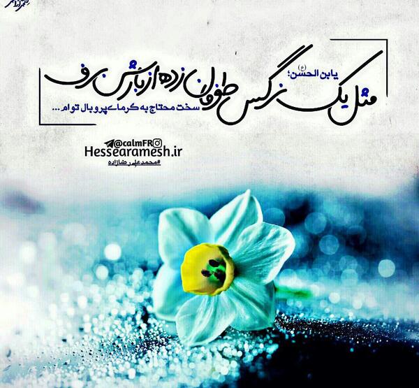 عکس نوشته سلام بر گل نرگس