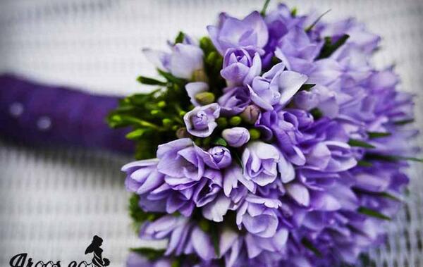 عکس دسته گل یاسی رنگ