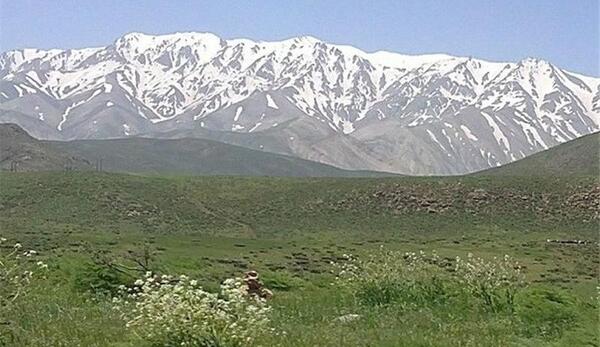 عکس سفید کوه لرستان