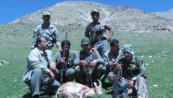 عکس سفید کوه لرستان