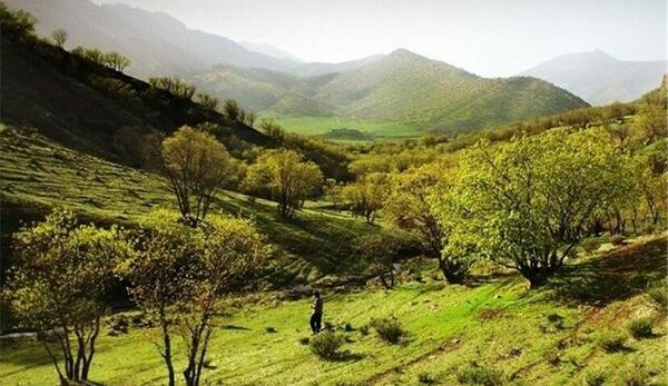 عکس سفید کوه لرستان