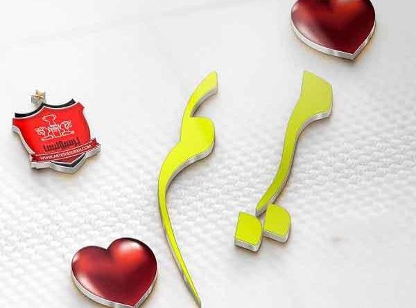 عکس ایده برای اسم عشق در گوشی