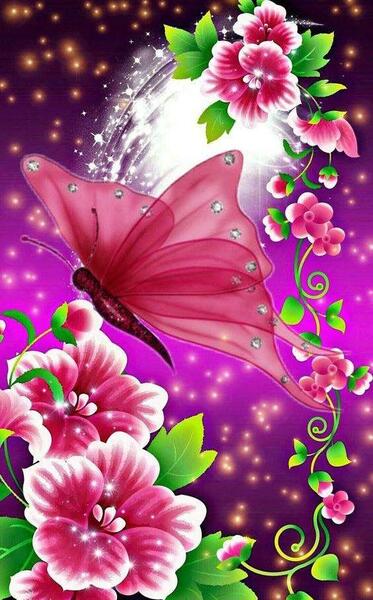 عکس پروانه تصویر زمینه