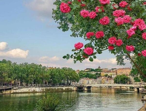 عکس منظره زیبا جدید