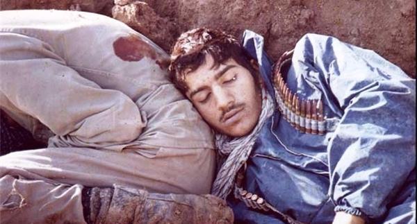 عکس زهرا همایونی