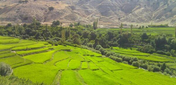 عکس از طبیعت خوزستان
