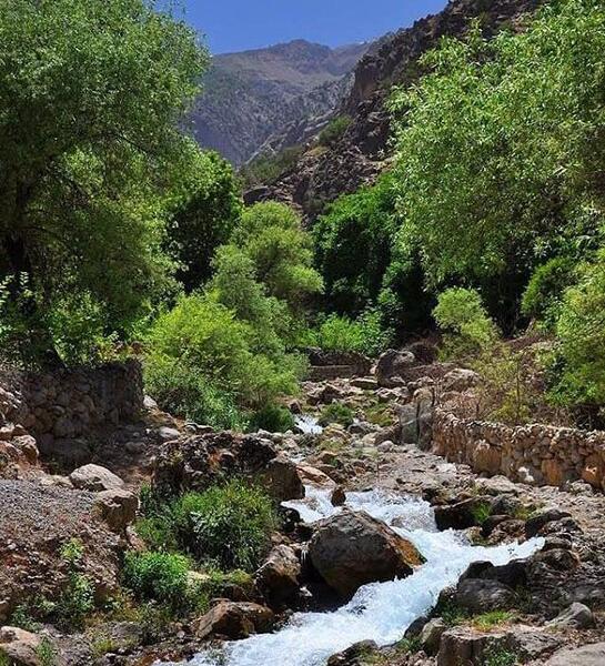عکس از طبیعت خوزستان