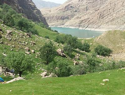 عکس از طبیعت خوزستان