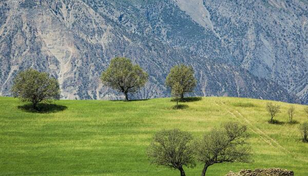 عکس از طبیعت خوزستان