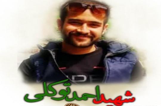 عکس احمد توکلی