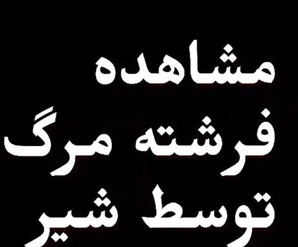 عکس نوشته فرشته مرگ