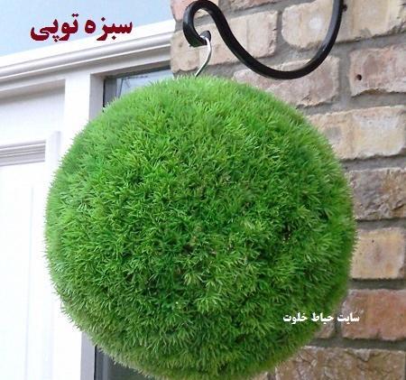 عکس سبزه عید قشنگ