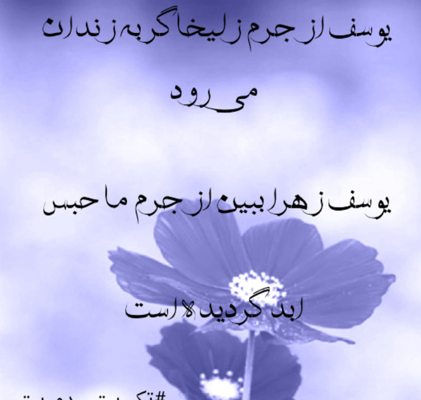 عکس نوشته یوسف اگر قلب زلیخا شکست