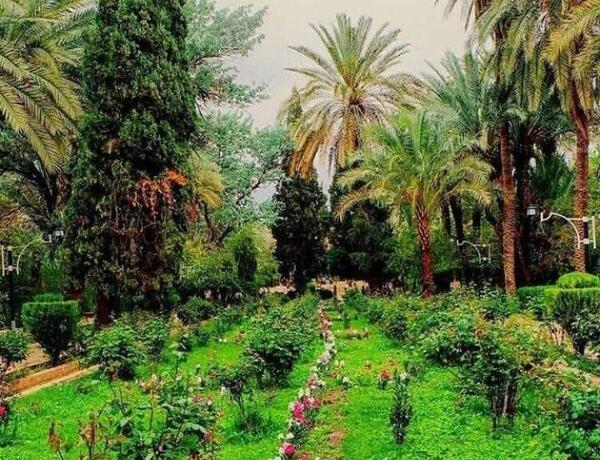 عکس قشنگ از طبیعت برای پروفایل