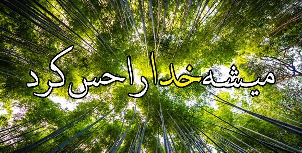 عکس قشنگ از طبیعت برای پروفایل
